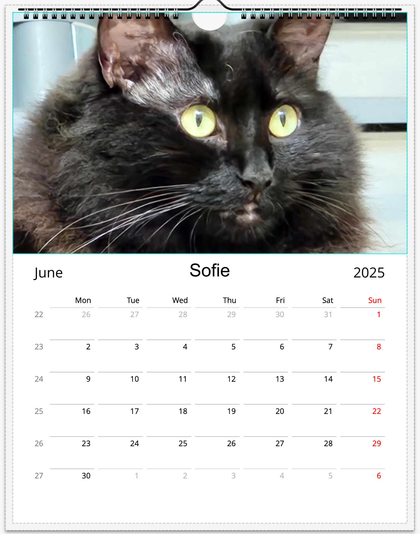 Tail-of-the-Month Calendar + Winner Discount (May 2025 - May 2026)