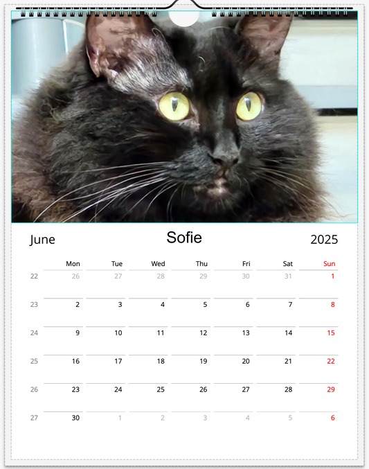 Tail-of-the-Month Calendar + Winner Discount (May 2025 - May 2026)