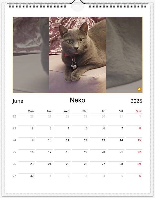 Tail-of-the-Month Calendar + Winner Discount (May 2025 - May 2026)
