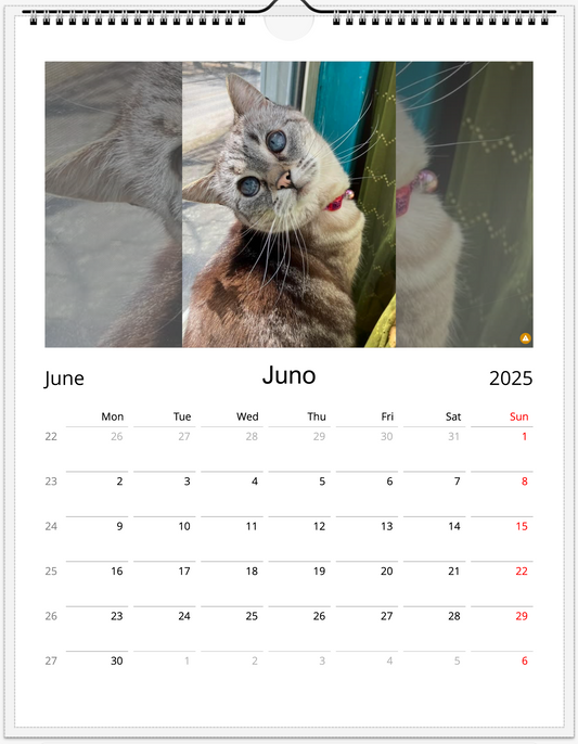 Tail-of-the-Month Calendar + Winner Discount (May 2025 - May 2026)