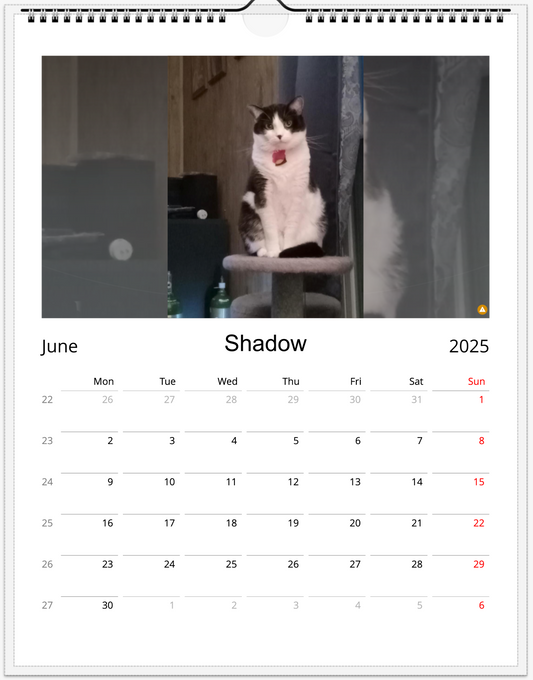 Tail-of-the-Month Calendar + Winner Discount (May 2025 - May 2026)