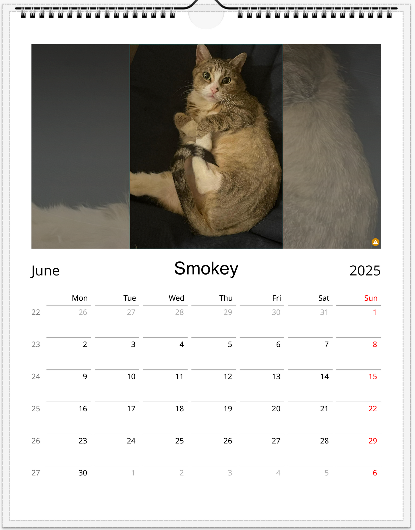 Tail-of-the-Month Calendar + Winner Discount (May 2025 - May 2026)