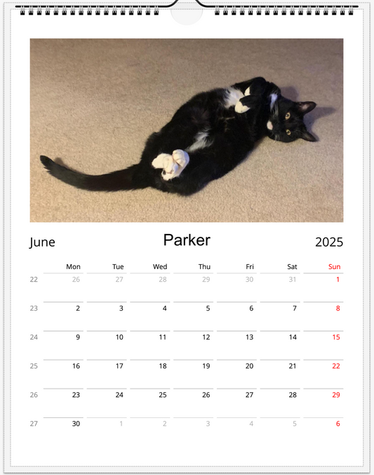Tail-of-the-Month Calendar + Winner Discount (May 2025 - May 2026)