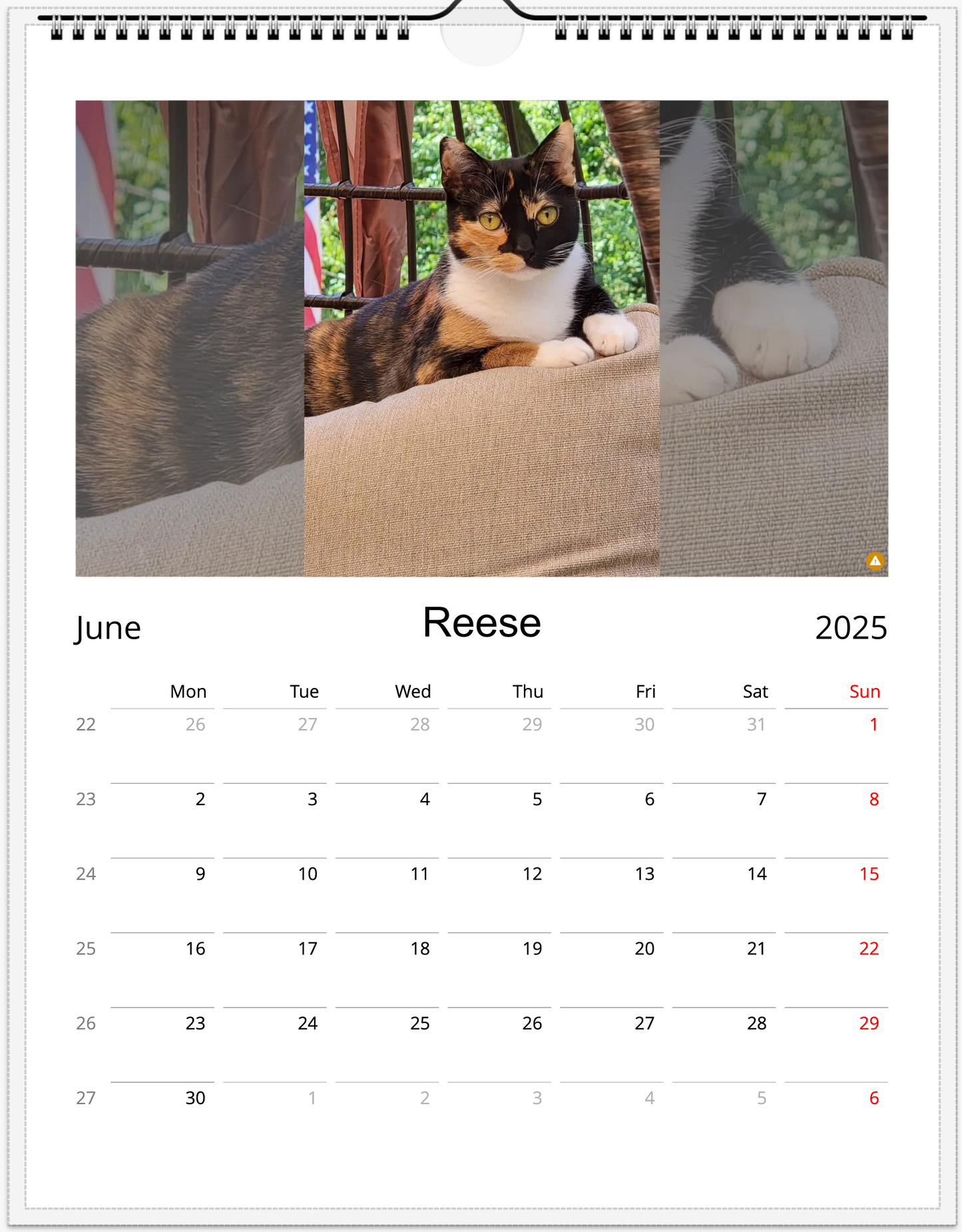 Tail-of-the-Month Calendar + Winner Discount (May 2025 - May 2026)