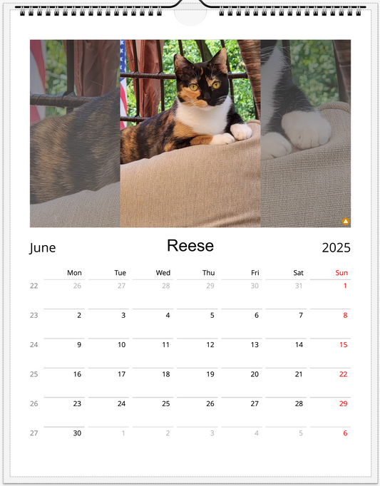 Tail-of-the-Month Calendar + Winner Discount (May 2025 - May 2026)