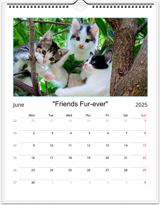 Tail-of-the-Month Calendar + Winner Discount (May 2025 - May 2026)