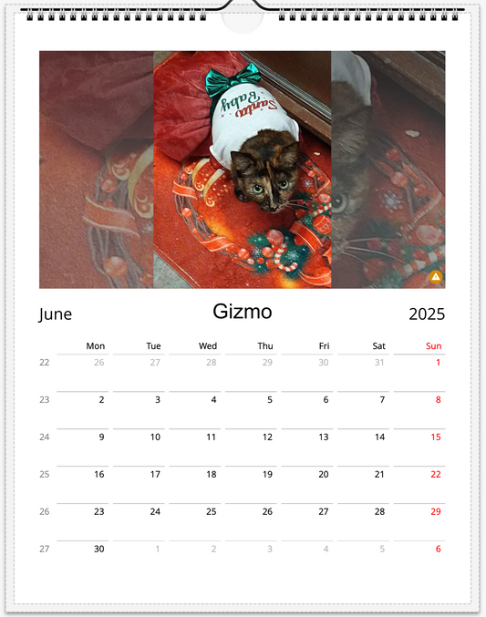Tail-of-the-Month Calendar + Winner Discount (May 2025 - May 2026)