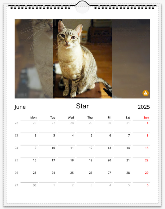 Tail-of-the-Month Calendar + Winner Discount (May 2025 - May 2026)