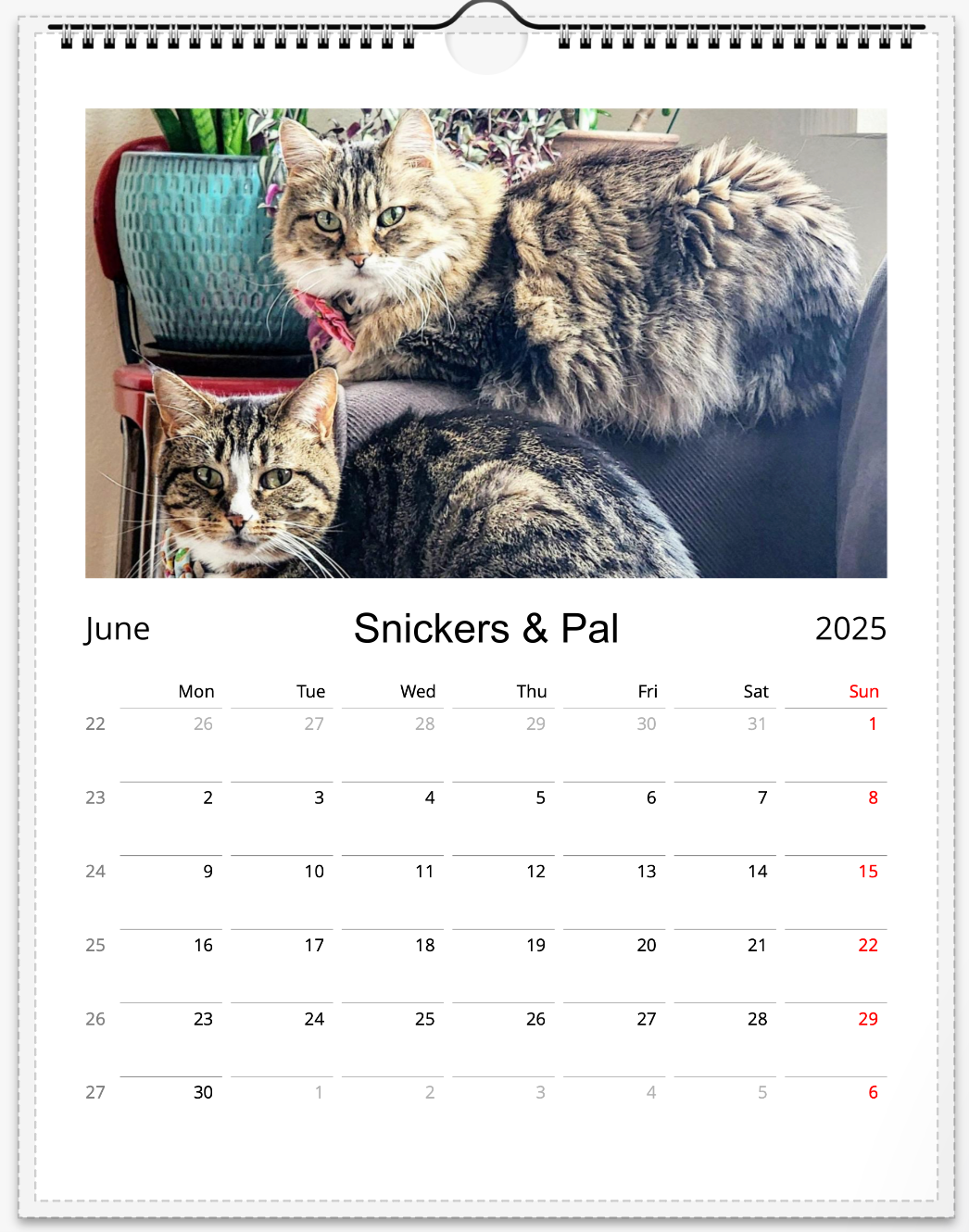 Tail-of-the-Month Calendar + Winner Discount (May 2025 - May 2026)