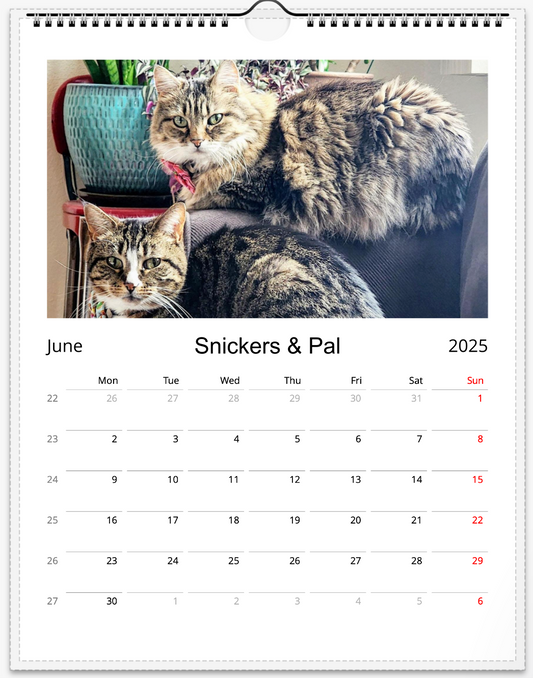 Tail-of-the-Month Calendar + Winner Discount (May 2025 - May 2026)