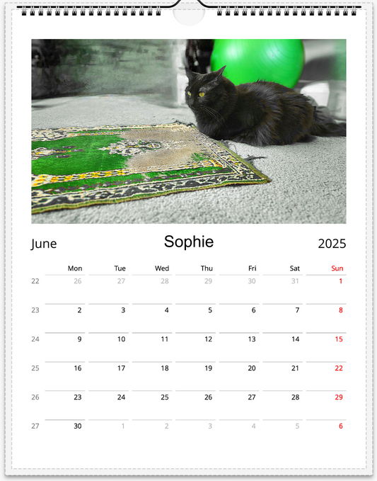 Tail-of-the-Month Calendar + Winner Discount (May 2025 - May 2026)