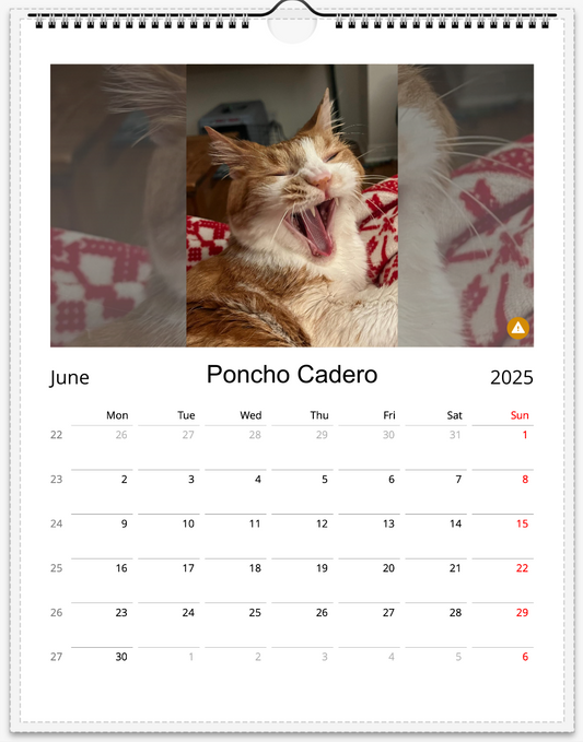 Tail-of-the-Month Calendar + Winner Discount (May 2025 - May 2026)