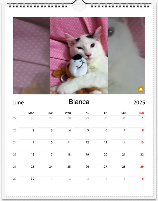 Tail-of-the-Month Calendar + Winner Discount (May 2025 - May 2026)