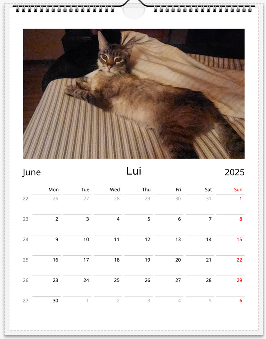 Tail-of-the-Month Calendar + Winner Discount (May 2025 - May 2026)