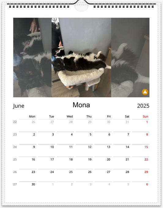 Tail-of-the-Month Calendar + Winner Discount (May 2025 - May 2026)
