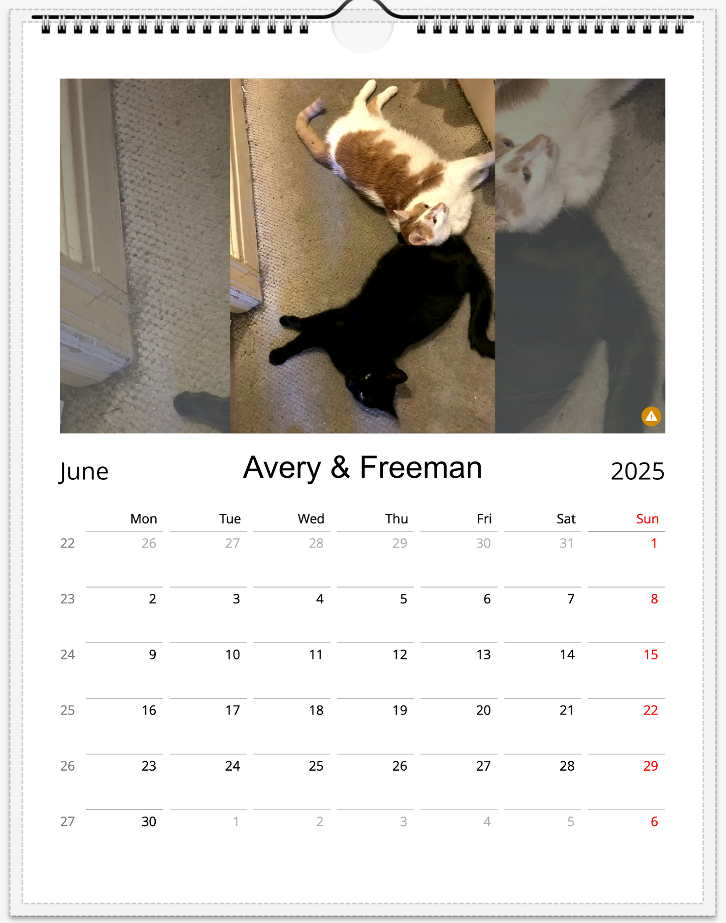 Tail-of-the-Month Calendar + Winner Discount (May 2025 - May 2026)