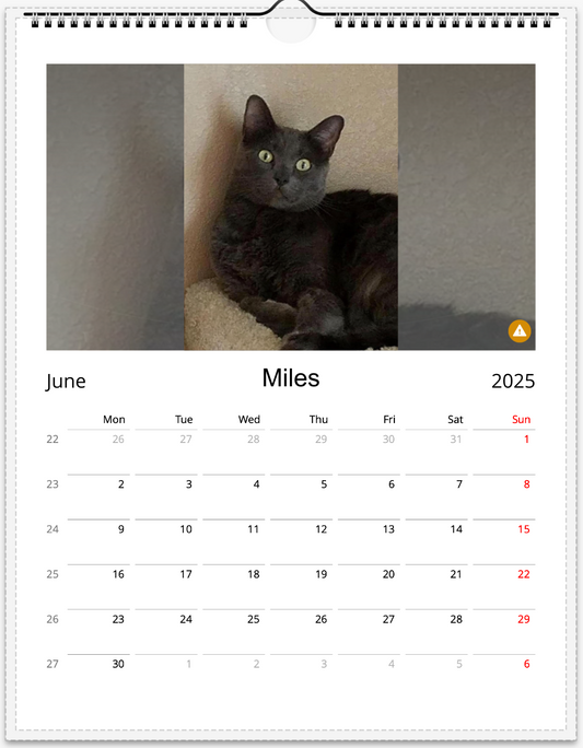 Tail-of-the-Month Calendar + Winner Discount (May 2025 - May 2026)