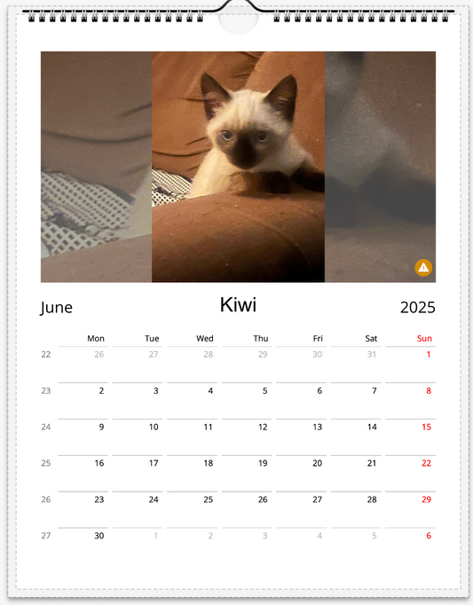 Tail-of-the-Month Calendar + Winner Discount (June 2025 - June 2026)