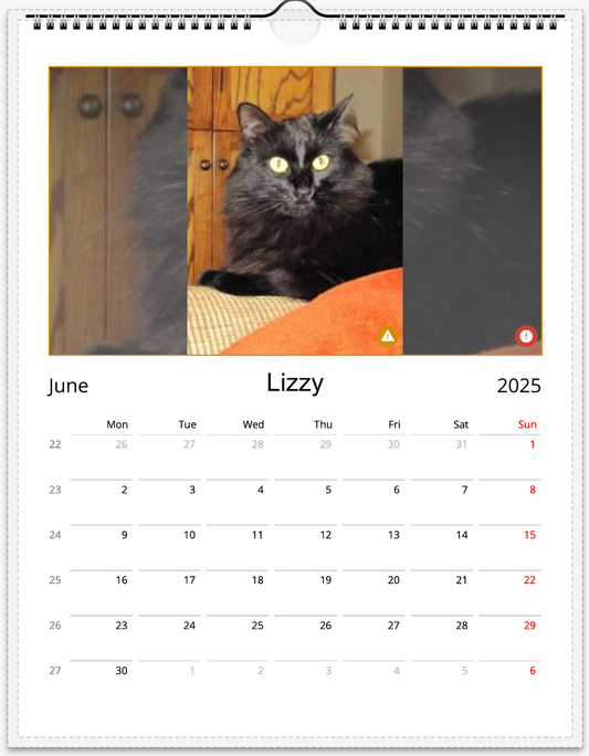 Tail-of-the-Month Calendar + Winner Discount (June 2025 - June 2026)