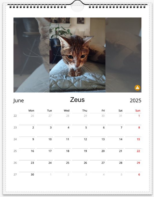 Tail-of-the-Month Calendar + Winner Discount (June 2025 - June 2026)
