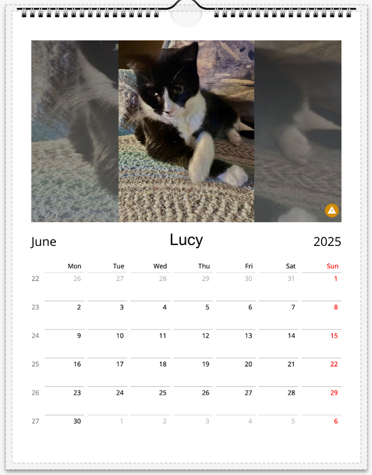 Tail-of-the-Month Calendar + Winner Discount (June 2025 - June 2026)