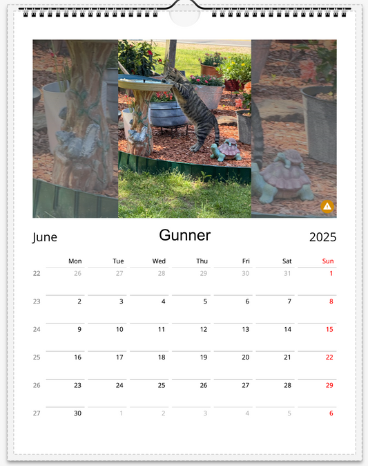 Tail-of-the-Month Calendar + Winner Discount (June 2025 - June 2026)