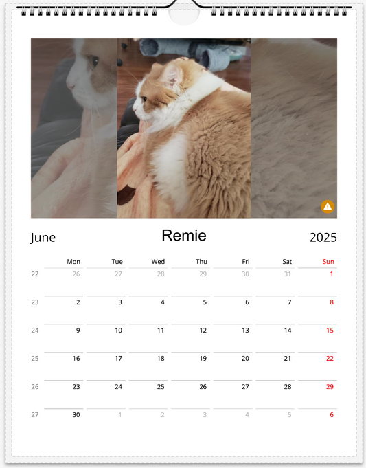Tail-of-the-Month Calendar + Winner Discount (June 2025 - June 2026)