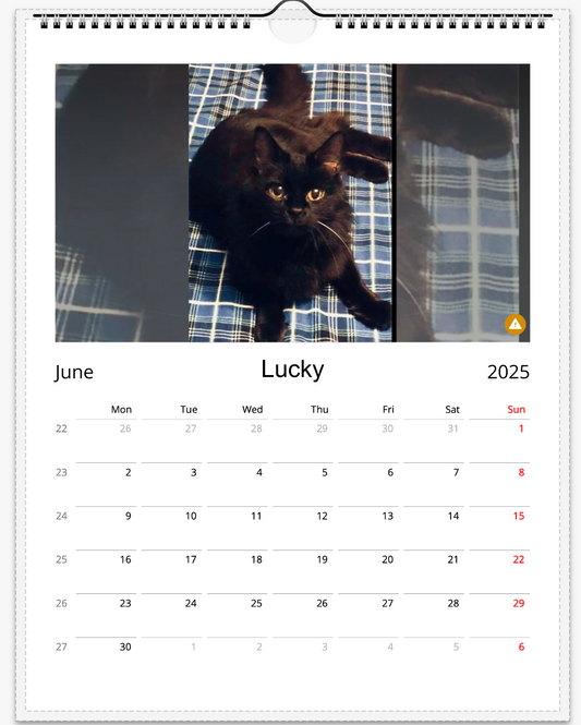 Tail-of-the-Month Calendar + Winner Discount (June 2025 - June 2026)