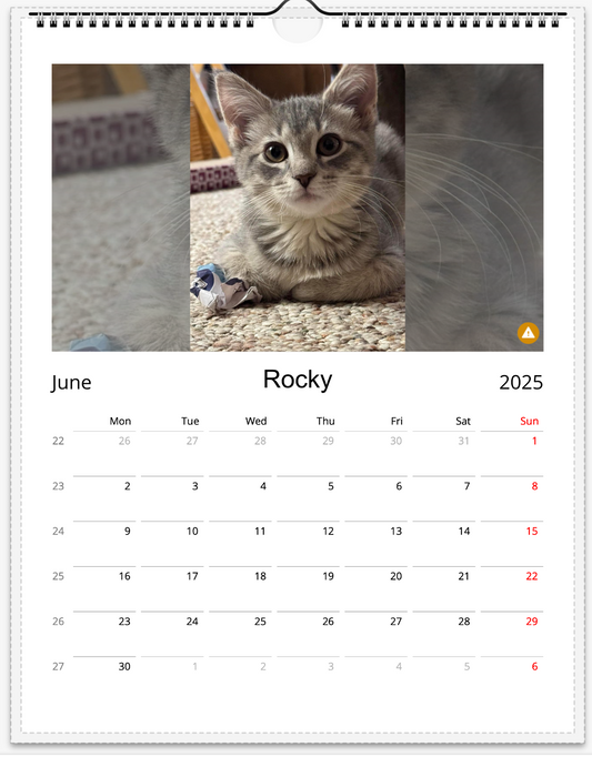 Tail-of-the-Month Calendar + Winner Discount (June 2025 - June 2026)