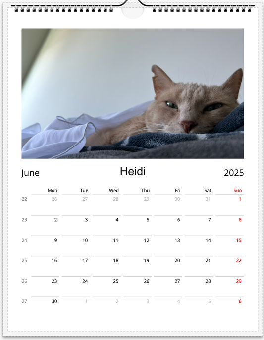 Tail-of-the-Month Calendar + Winner Discount (June 2025 - June 2026)