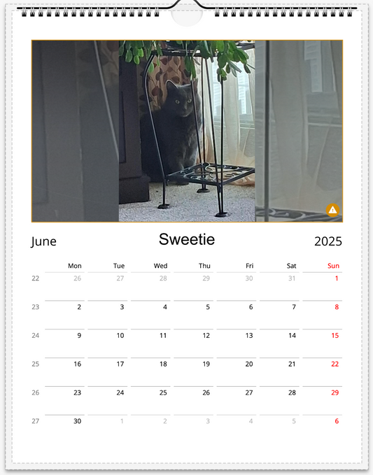 Tail-of-the-Month Calendar + Winner Discount (June 2025 - June 2026)