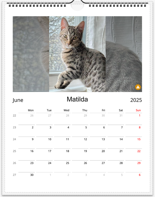 Tail-of-the-Month Calendar + Winner Discount (June 2025 - June 2026)