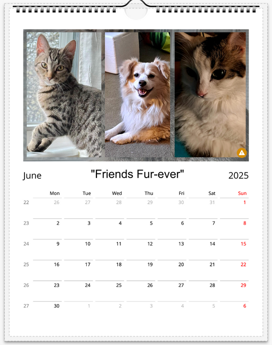 Tail-of-the-Month Calendar + Winner Discount (June 2025 - June 2026)