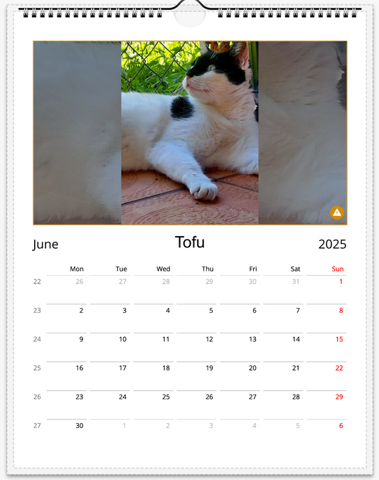 Tail-of-the-Month Calendar + Winner Discount (June 2025 - June 2026)