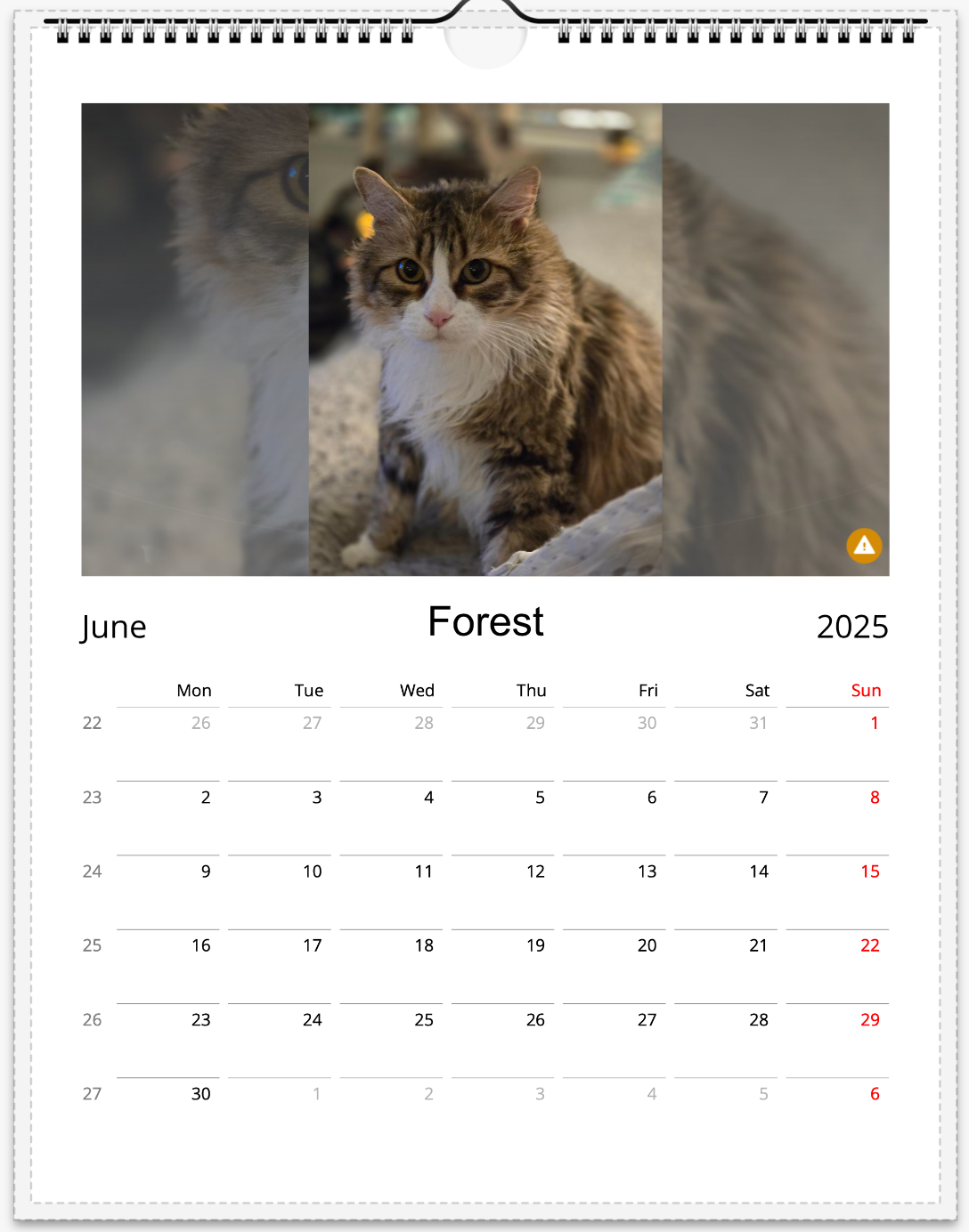 Tail-of-the-Month Calendar + Winner Discount (June 2025 - June 2026)