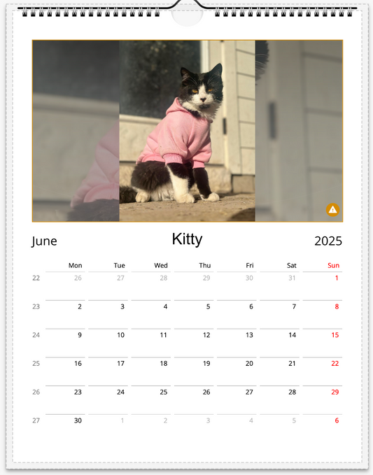 Tail-of-the-Month Calendar + Winner Discount (June 2025 - June 2026)