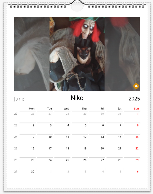 Tail-of-the-Month Calendar + Winner Discount (June 2025 - June 2026)