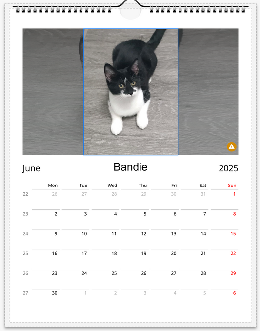 Tail-of-the-Month Calendar + Winner Discount (June 2025 - June 2026)