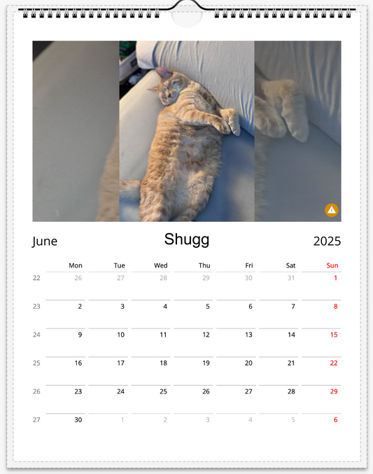 Tail-of-the-Month Calendar + Winner Discount (June 2025 - June 2026)
