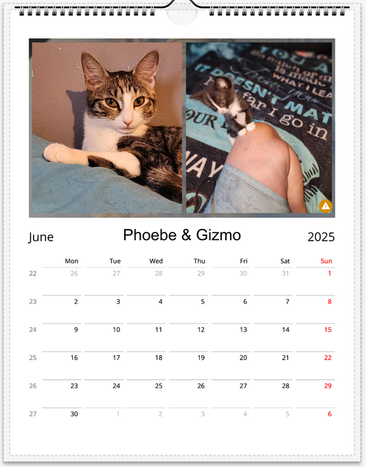 Tail-of-the-Month Calendar + Winner Discount (June 2025 - June 2026)