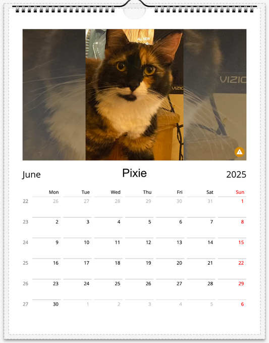 Tail-of-the-Month Calendar + Winner Discount (June 2025 - June 2026)