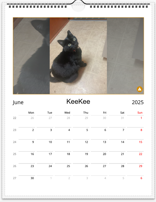 Tail-of-the-Month Calendar + Winner Discount (June 2025 - June 2026)