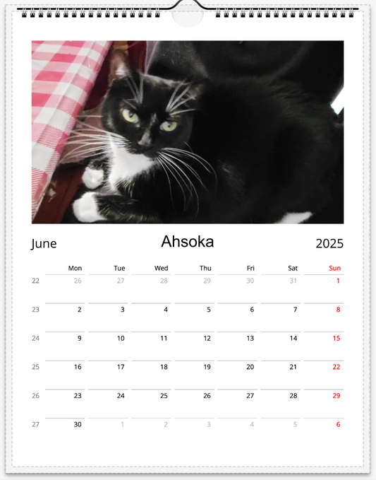 Tail-of-the-Month Calendar + Winner Discount (June 2025 - June 2026)