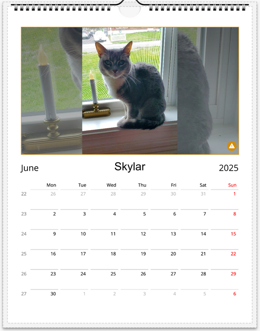 Tail-of-the-Month Calendar + Winner Discount (June 2025 - June 2026)