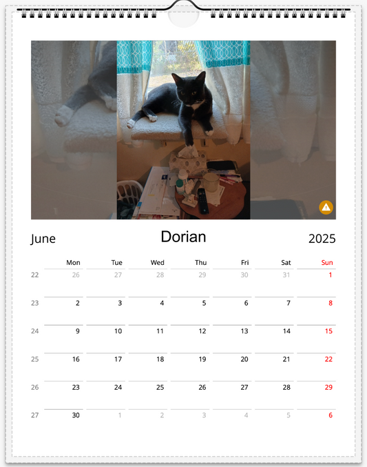 Tail-of-the-Month Calendar + Winner Discount (June 2025 - June 2026)