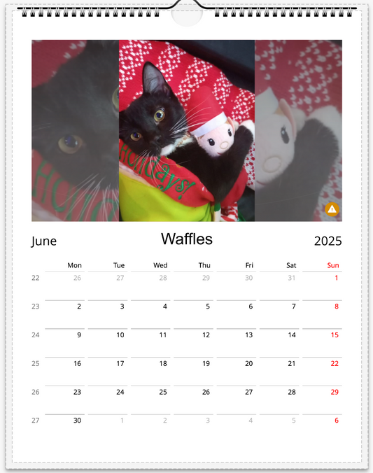 Tail-of-the-Month Calendar + Winner Discount (June 2025 - June 2026)