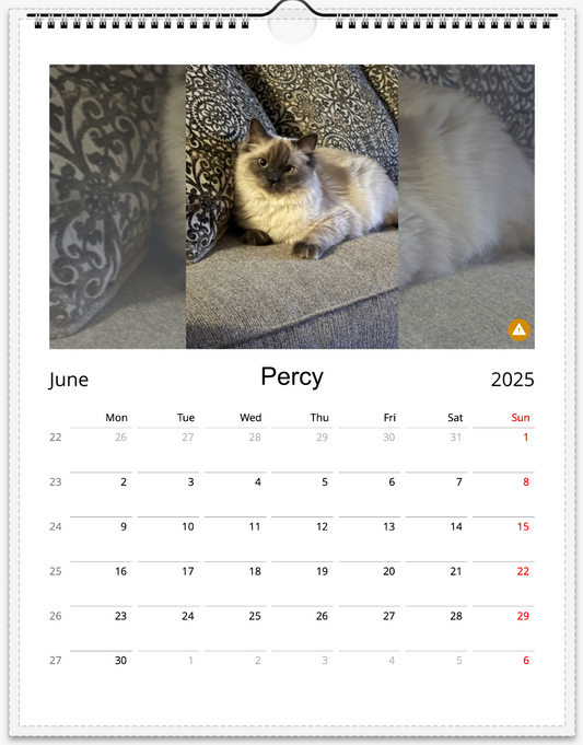 Tail-of-the-Month Calendar + Winner Discount (June 2025 - June 2026)