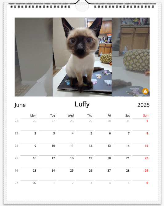 Tail-of-the-Month Calendar + Winner Discount (June 2025 - June 2026)