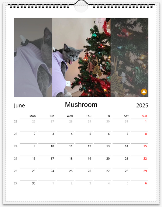Tail-of-the-Month Calendar + Winner Discount (June 2025 - June 2026)