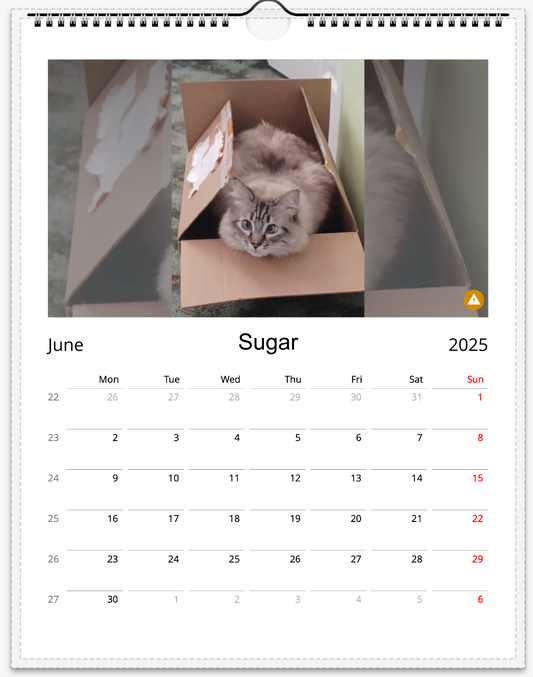 Tail-of-the-Month Calendar + Winner Discount (June 2025 - June 2026)
